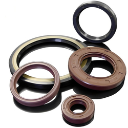 Oil Seal & Kit